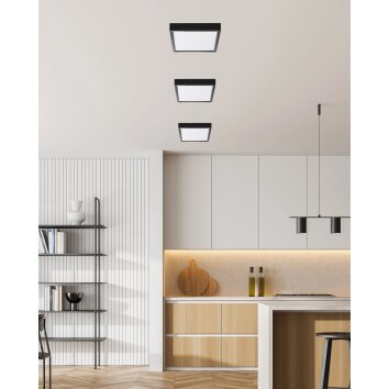 NOWA Puccy nowoczesny płaski kwadratowy plafon sufitowy LED 3000K 1200 lm 10 W
