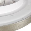 Steinhauer Srebrna płaska okrągła lampa sufitowa Flady LED, 2700 Kelvin ciepła biel