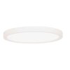 Steinhauer Luminix LED plafon sufitowy 29 cm, okrągły, nowoczesny