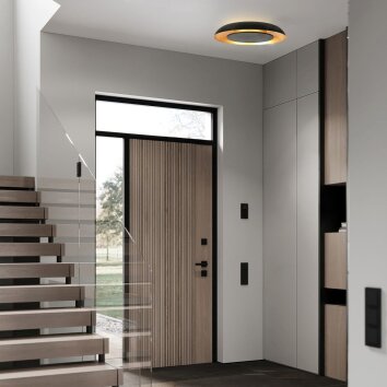 Steinhauer nowoczesna okrągła lampa sufitowa Golden Veil, LED 2700 Kelvin, ściemniana