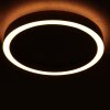 Steinhauer Ringlux LED ringowa lampa sufitowa, okrągły plafon sufitowy, nowoczesna