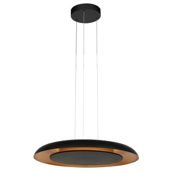 Steinhauer Golden Veil nowoczesna okrągła ringowa lampa wisząca LED 2-punktowa, Ø 60 cm