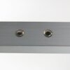 Steinhauer Bande lampa wisząca do jadalni LED regulowana 2200-4000 K 3800 lm 21 W