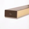 Steinhauer LED lampa wisząca Zelena, pamięć, regulowana barwa światła 2200-4000 Kelvin