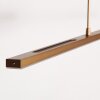 Steinhauer LED lampa wisząca Zelena, pamięć, regulowana barwa światła 2200-4000 Kelvin