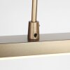 Steinhauer Zelena LED liniowa lampa wisząca 3-punktowa do wyspy kuchennej