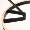 Steinhauer Ringlux LED 2-punktowa lampa podłogowa łukowa nowoczesna do salonu