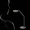 Steinhauer Ringlux LED lampa podłogowa 2-punktowa nowoczesna lampa do czytania