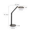 Steinhauer Ringlux LED lampa podłogowa 2-punktowa nowoczesna lampa do czytania