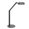 Steinhauer Ringlux LED lampa podłogowa 2-punktowa nowoczesna lampa do czytania