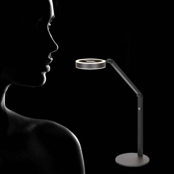 Steinhauer Ringlux LED lampa podłogowa 2-punktowa nowoczesna lampa do czytania
