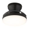 Globo Zavala plafon LED lampa sufitowa z dekoracyjnymi skrzydłami Ø 38 cm