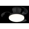 Globo Zavala plafon LED lampa sufitowa z dekoracyjnymi skrzydłami Ø 38 cm