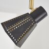 Vantaa Lampa Sufitowa Czarno-złoty, 2-punktowe