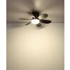 Globo Delores wentylator sufitowy z oświetleniem LED 560 lm 2700-6500 K, 5 W