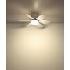 Globo Delores LED wentylator sufitowy z oświetleniem i pilotem, 5 W, 560 lm