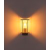Globo Gracey lampa elewacyjna zewnętrzna, nowoczesna do ogrodu i garażu