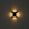 Globo AKRON kwadratowa solarna lampa ścienna LED kinkiet ogrodowy do ścieżek