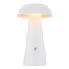 Globo MIRALIE lampa solarna ogrodowa LED, lampa ścieżkowa, Ø 14 cm, 400 lm, 4 W