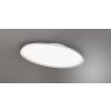 Trio Leuchten, płaska owalna lampa sufitowa LED tytanowa, 6500 Kelvin, światło dzienne