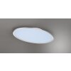 Trio Leuchten, płaska owalna lampa sufitowa LED tytanowa, 6500 Kelvin, światło dzienne