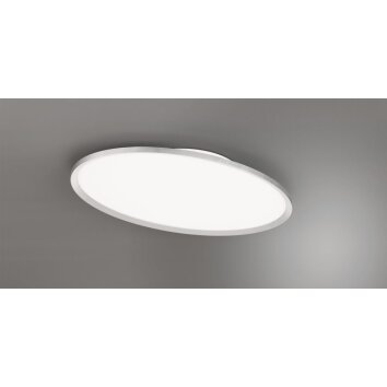 Trio Leuchten, płaska owalna lampa sufitowa LED tytanowa, 6500 Kelvin, światło dzienne