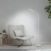 Paul Neuhaus LED lampa podłogowa ELLY, regulowana barwa światła 3000 Kelvin, regulowane ramię