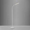 Paul Neuhaus LED lampa podłogowa ELLY, regulowana barwa światła 3000 Kelvin, regulowane ramię