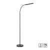 Paul Neuhaus regulowana LED lampa stojąca ELLY, regulowana barwa światła 2700-5000 Kelvin