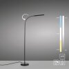 Paul Neuhaus regulowana LED lampa stojąca ELLY, regulowana barwa światła 2700-5000 Kelvin