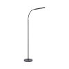Paul Neuhaus regulowana LED lampa stojąca ELLY, regulowana barwa światła 2700-5000 Kelvin