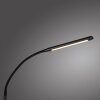 Paul Neuhaus regulowana LED lampa stojąca ELLY, regulowana barwa światła 2700-5000 Kelvin