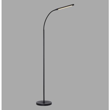Paul Neuhaus regulowana LED lampa stojąca ELLY, regulowana barwa światła 2700-5000 Kelvin