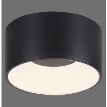 Leuchten Direkt lampa sufitowa LED TANIKA, cylindryczna obudowa, czarny klosz, 3000 kelwinów