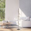 Leuchten Direkt lampa stojąca LED Emanda, mosiężna spirala, 3000 Kelvin, ciepła barwa