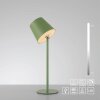 Leuchten Direkt zielona lampka stołowa BOTERIA, skośny klosz, LED 3000 Kelvin ciepłobiałe