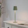 Leuchten Direkt zielona lampka stołowa BOTERIA, skośny klosz, LED 3000 Kelvin ciepłobiałe