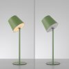 Leuchten Direkt zielona lampka stołowa BOTERIA, skośny klosz, LED 3000 Kelvin ciepłobiałe