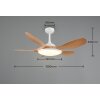 Reality Wentylator sufitowy LED Flen, regulowana barwa światła 2700-6500 Kelvin