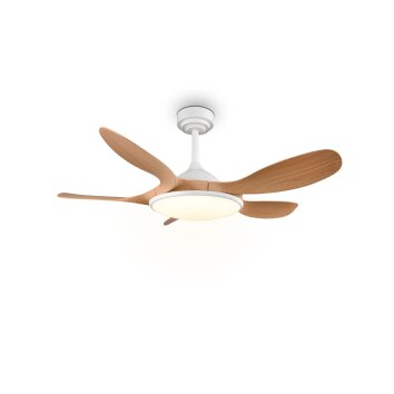 Reality Wentylator sufitowy LED Flen, regulowana barwa światła 2700-6500 Kelvin