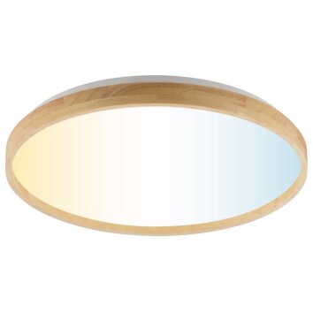 Brilliant plafon LED Alson, ściemniany pilotem, regulowana barwa światła 3000-6500 Kelvin