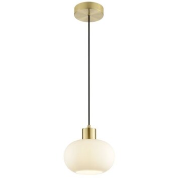 Brilliant lampa wisząca Fanny z kulistą formą oraz mosiężnym detalem