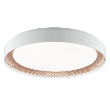 Brilliant plafon LED Waldo, biały, z pilotem, regulowana barwa światła 3000-6500 Kelvin