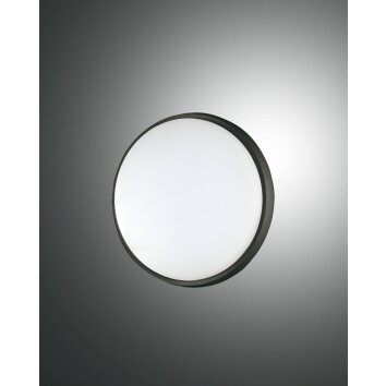 Fabas Luce Olly Lampa Sufitowa zewnętrzna LED Czarny, 1-punktowy