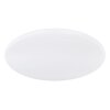 Globo RENA Lampa Sufitowa LED Biały, 1-punktowy, Zdalne sterowanie, Zmieniacz kolorów