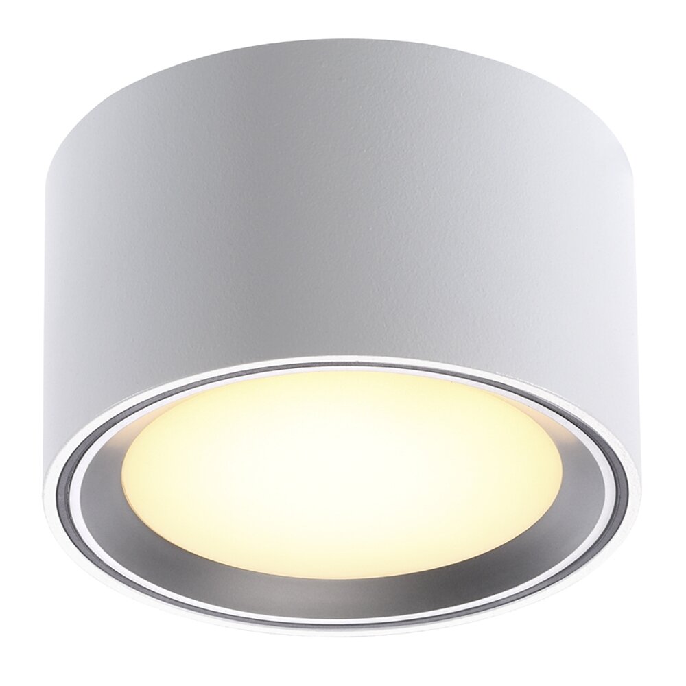 Nordlux FALLON Lampa Sufitowa Stal nierdzewna, 1-punktowy main product photo
