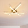 Deneb Lampa Sufitowa LED nikiel matowy, 3-punktowe