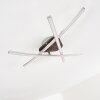 Deneb Lampa Sufitowa LED nikiel matowy, 3-punktowe