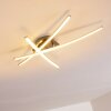 Deneb Lampa Sufitowa LED nikiel matowy, 3-punktowe