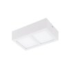 Eglo COLEGIO Lampa sufitowa LED Biały, 2-punktowe